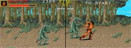 In game image of Warrior Blade - Rastan Saga Episode III on the Arcade.