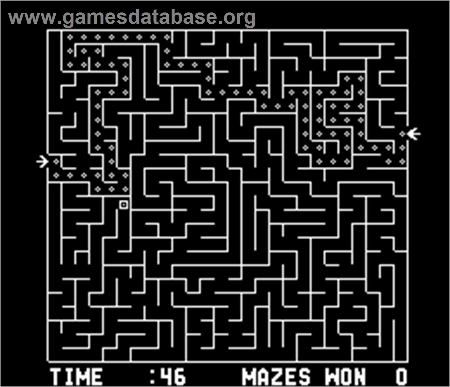 Amazing Maze - Arcade - Artwork - In Game
