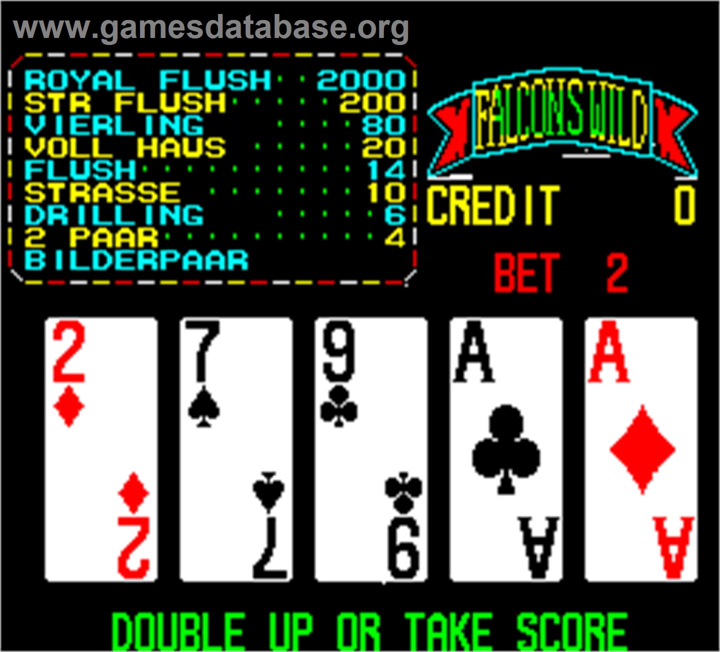 Falcons Wild - Wild Card 1991 - Arcade - Artwork - In Game