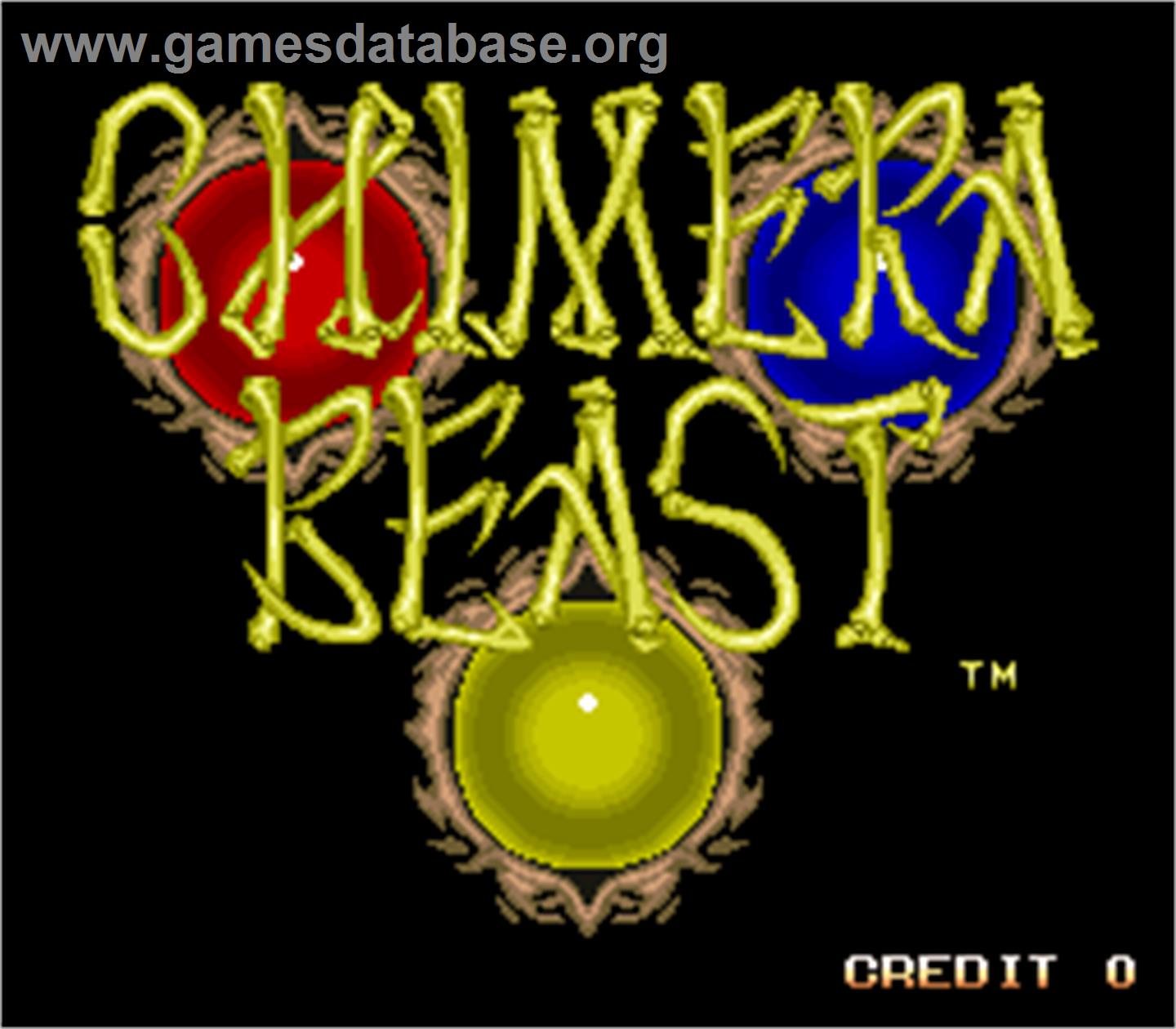 Chimera Beast - Arcade - Artwork - Title Screen
