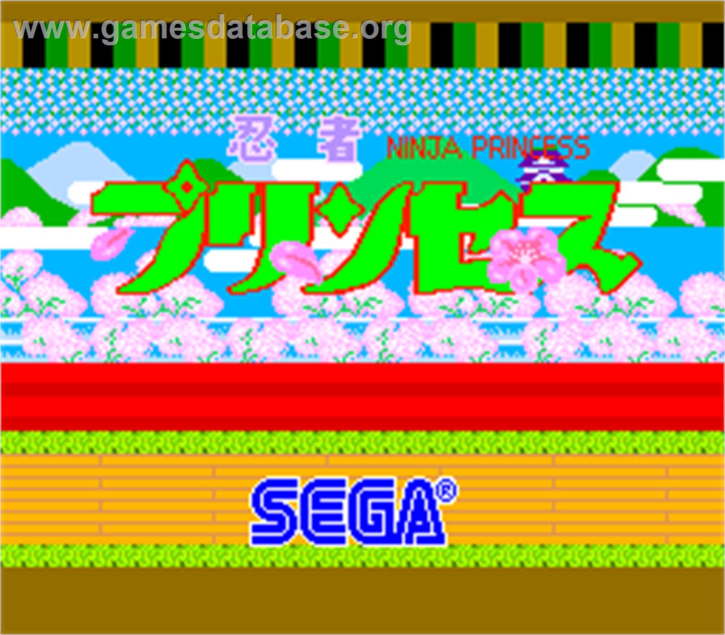 Ninja Princess - Arcade - Artwork - Title Screen