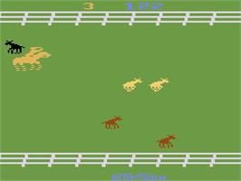 In game image of Stampede on the Atari 2600.