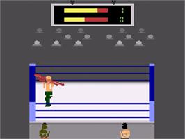 In game image of Title Match Pro Wrestling on the Atari 2600.