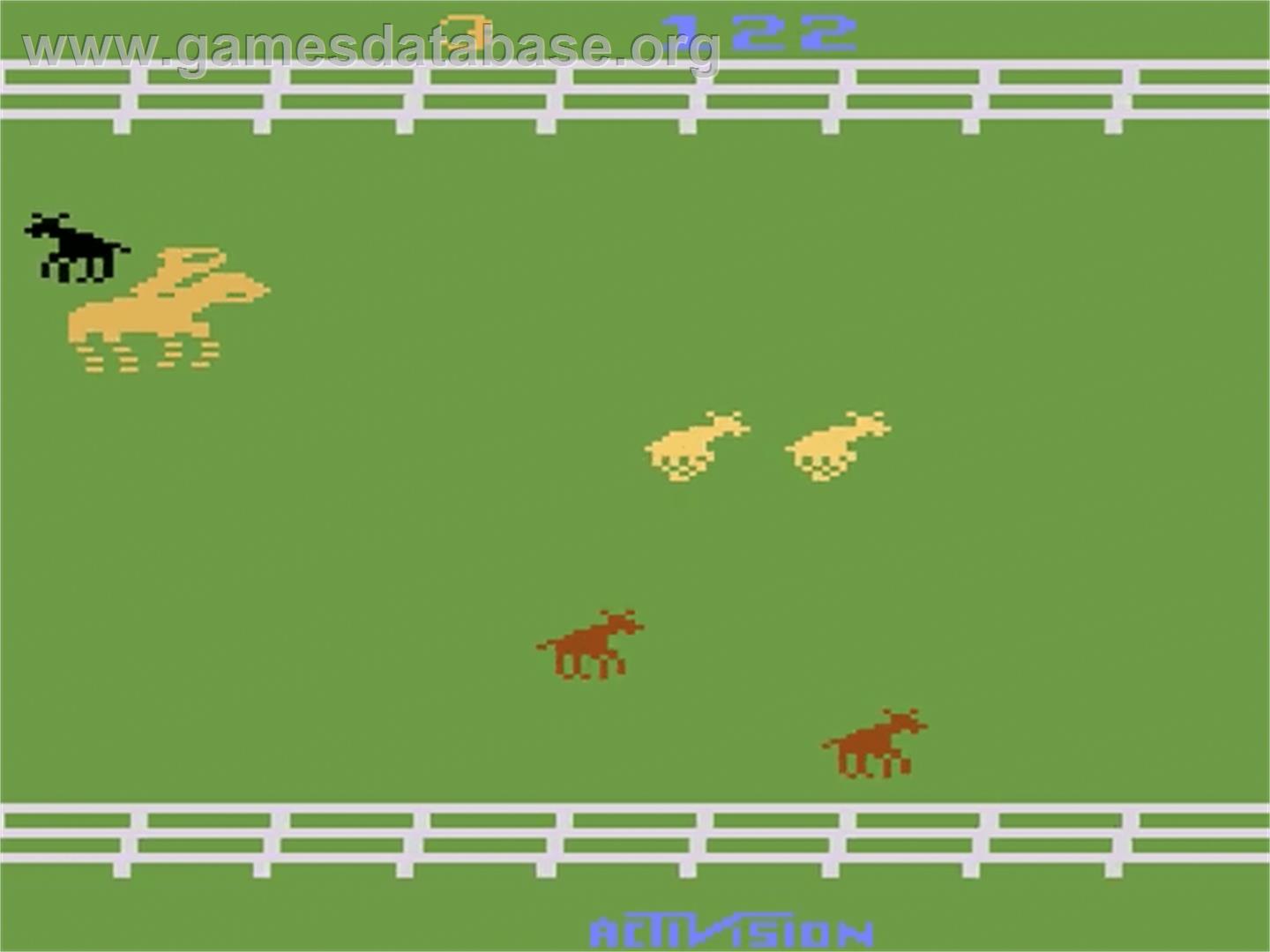 Stampede - Atari 2600 - Artwork - In Game