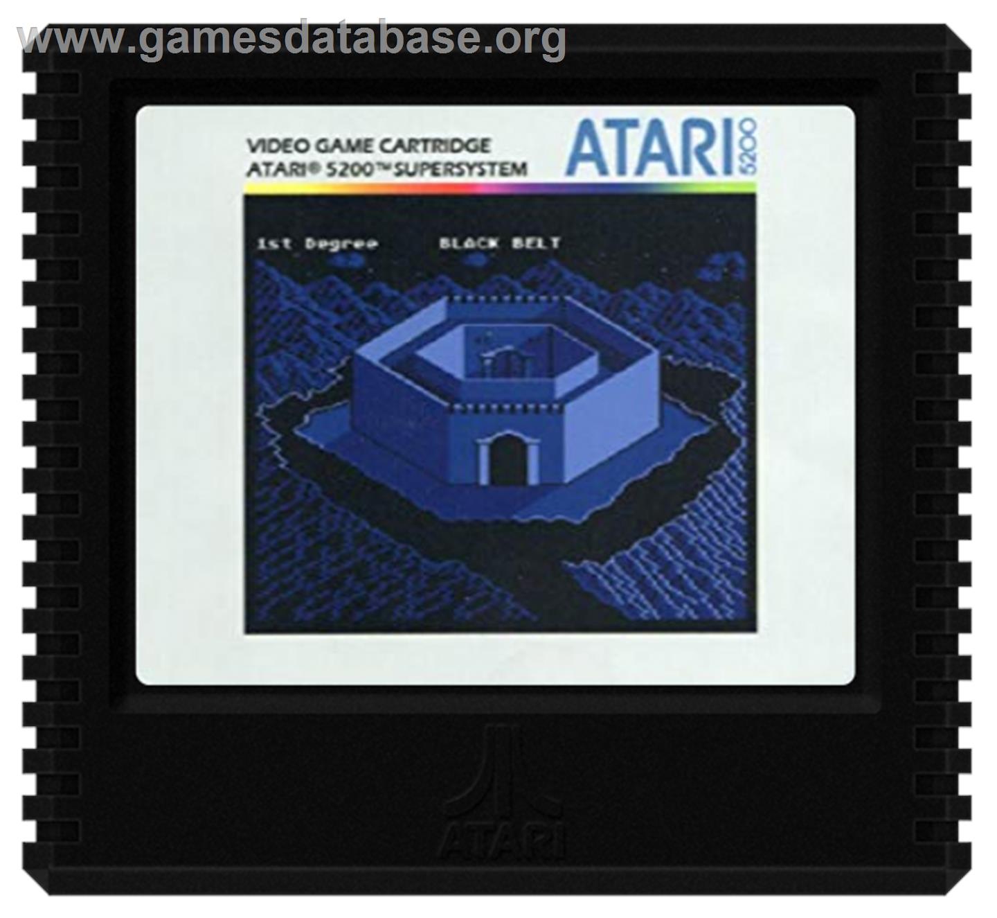 Black Belt - Atari 5200 - Artwork - Cartridge