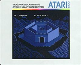 Top of cartridge artwork for Black Belt on the Atari 5200.