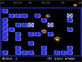 In game image of Pengo on the Atari 5200.