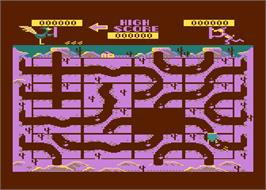 In game image of Road Runner on the Atari 5200.