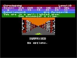 In game image of Alternate Reality: The Dungeon on the Atari 8-bit.