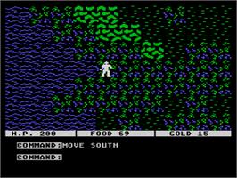 In game image of Questron on the Atari 8-bit.