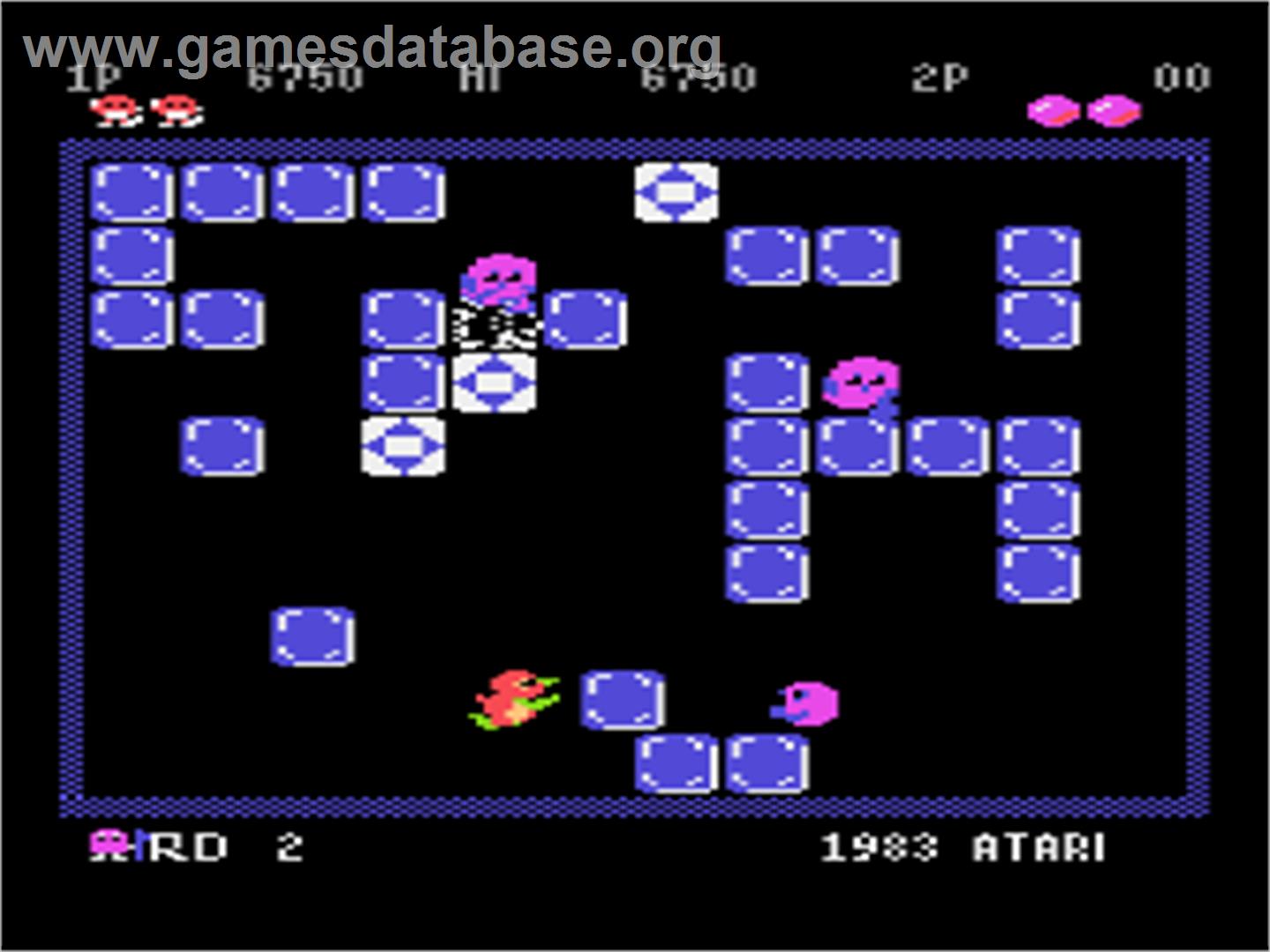 Pengo - Atari 8-bit - Artwork - In Game