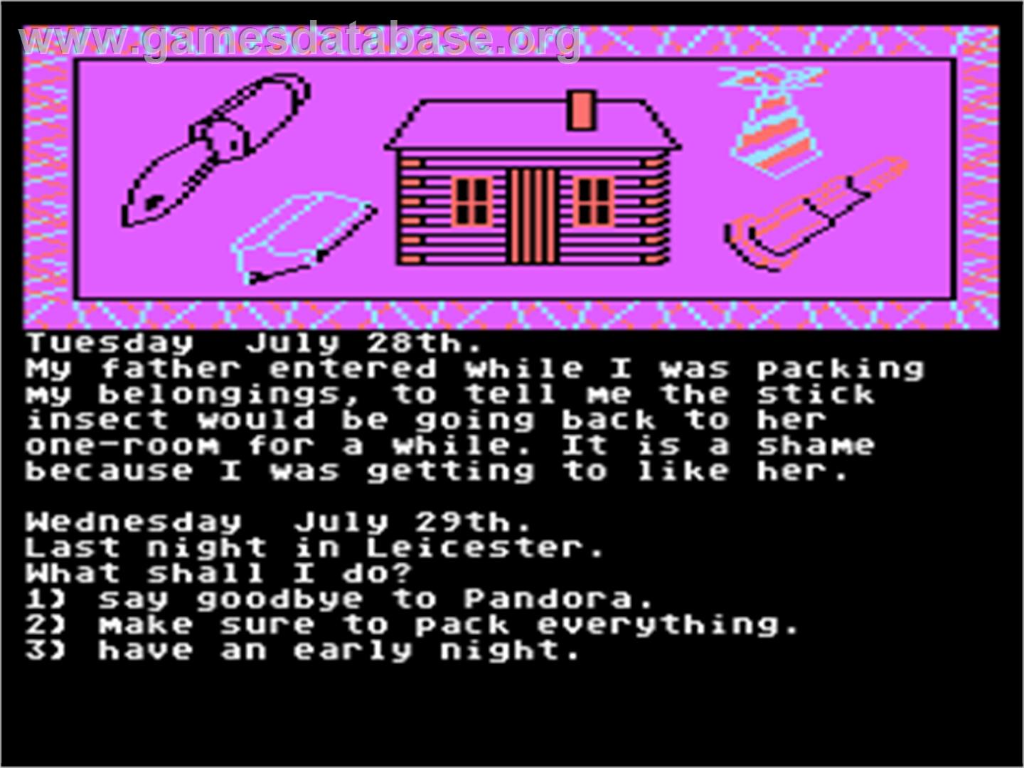 Secret Diary of Adrian Mole - Atari 8-bit - Artwork - In Game