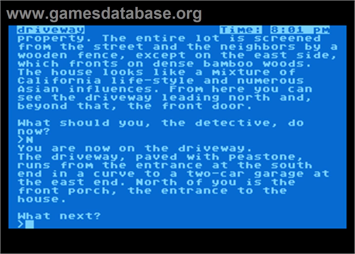 Witness - Atari 8-bit - Artwork - In Game