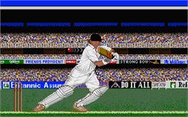 In game image of Allan Border's Cricket on the Atari ST.