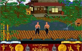 In game image of Chambers of Shaolin on the Atari ST.