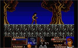 In game image of Risky Woods on the Atari ST.