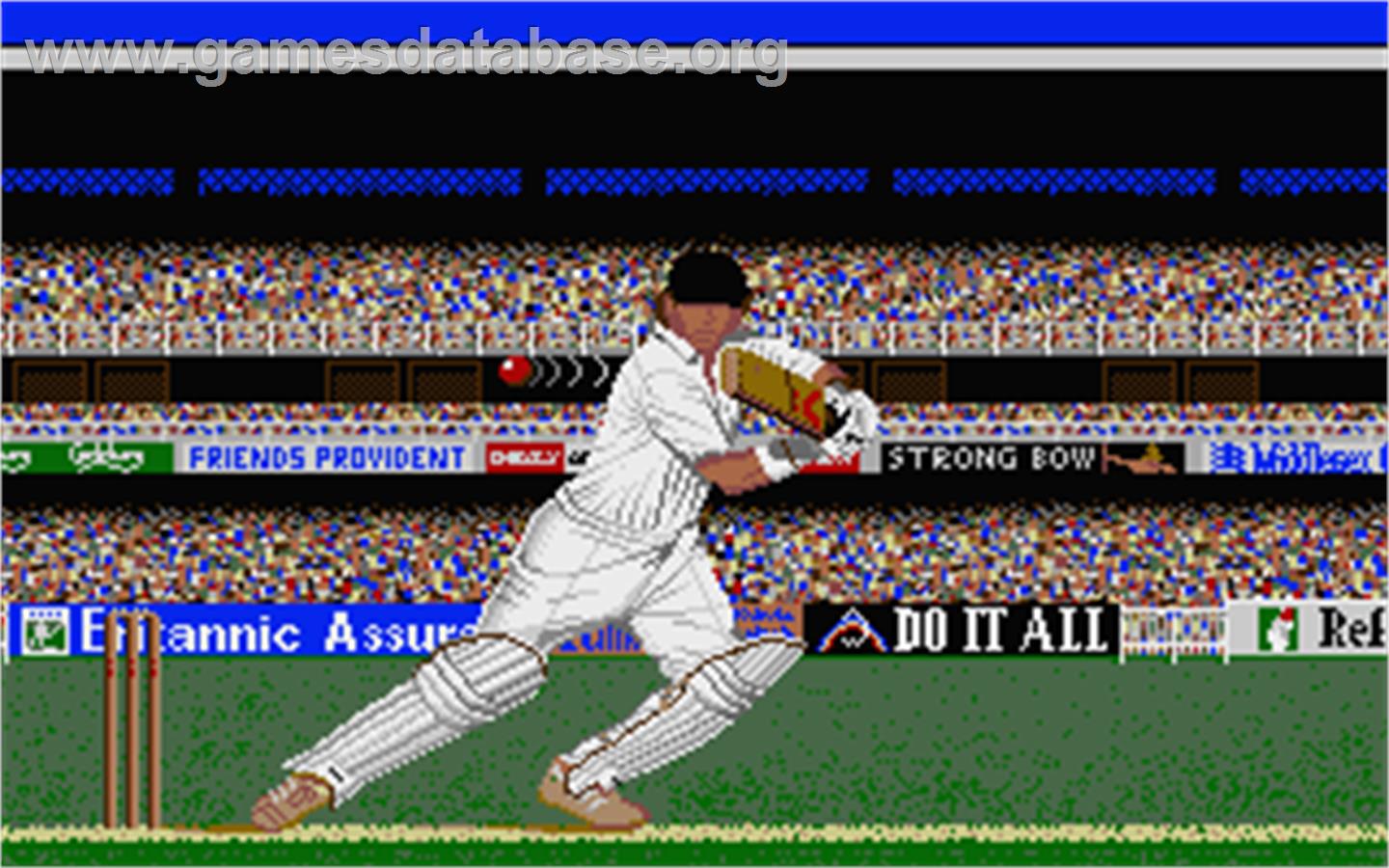 Allan Border's Cricket - Atari ST - Artwork - In Game