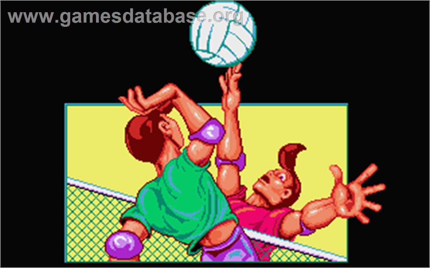 Beach Volley - Atari ST - Artwork - In Game