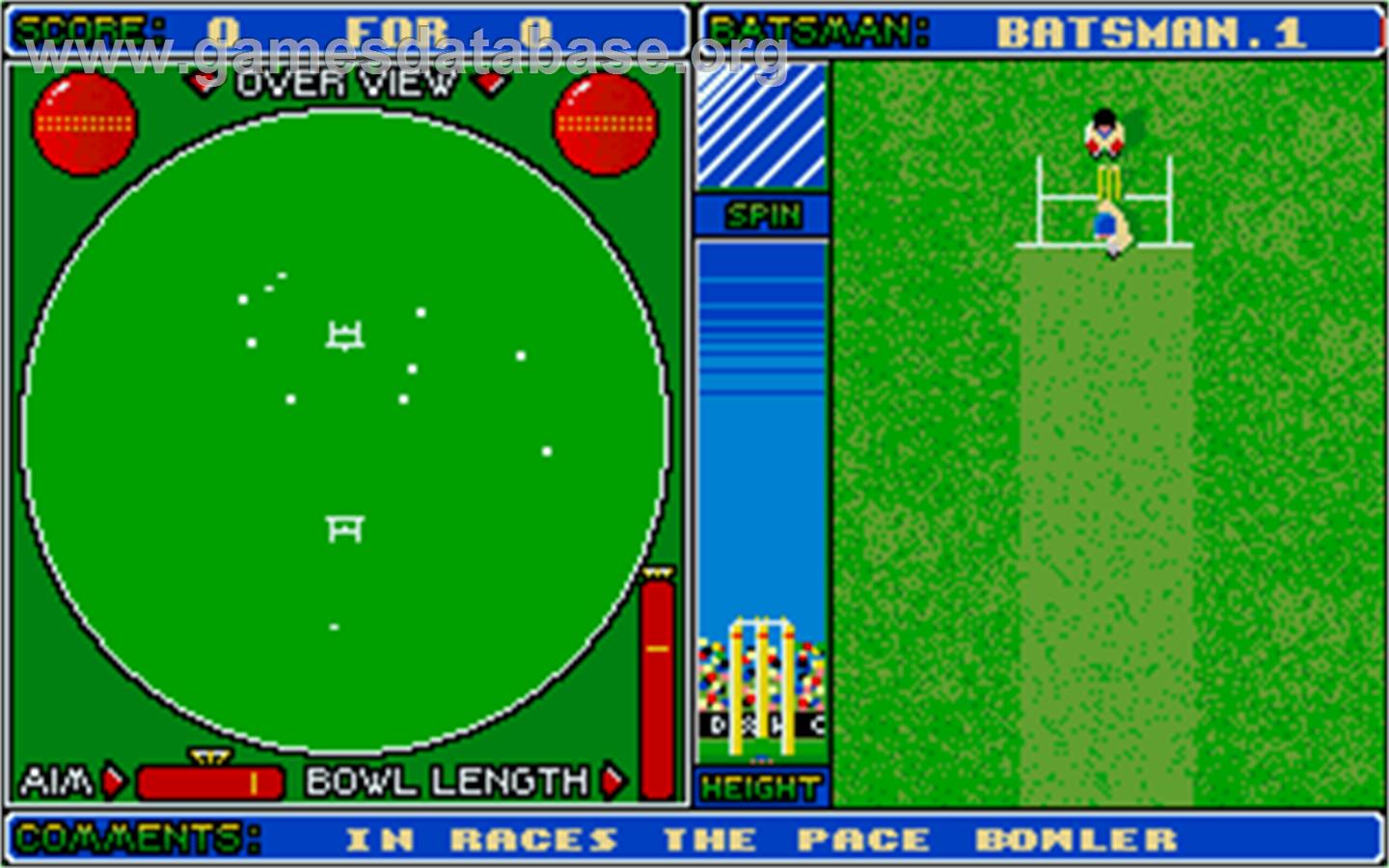 Cricket Captain - Atari ST - Artwork - In Game