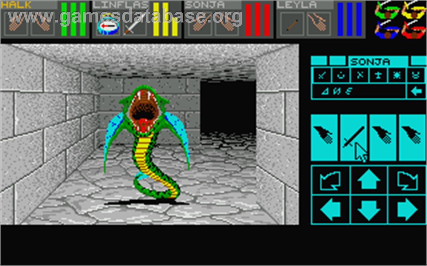 Dungeon Master - Atari ST - Artwork - In Game