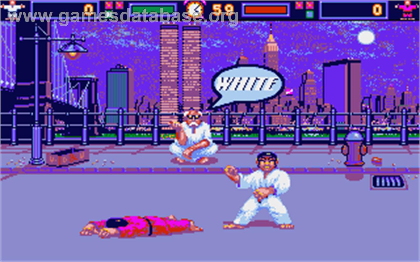International Karate - Atari ST - Artwork - In Game