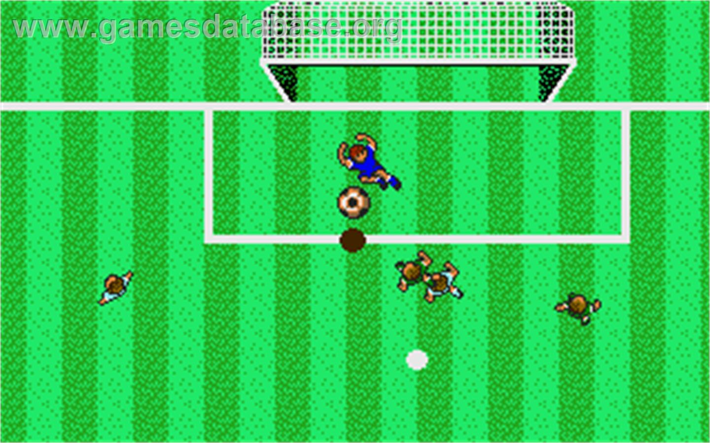 Microprose Pro Soccer - Atari ST - Artwork - In Game