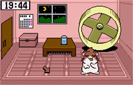 In game image of Dokodemo Hamster 3: O-Dekake Safuran on the Bandai WonderSwan Color.