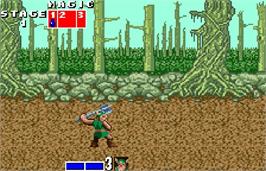 In game image of Golden Axe on the Bandai WonderSwan Color.