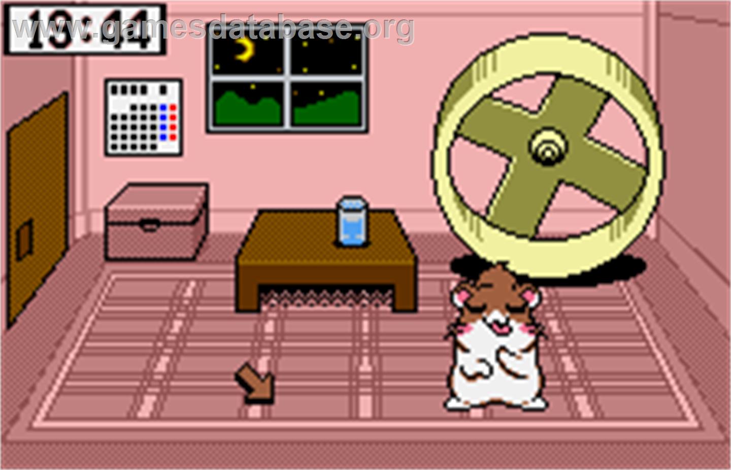 Dokodemo Hamster 3: O-Dekake Safuran - Bandai WonderSwan Color - Artwork - In Game