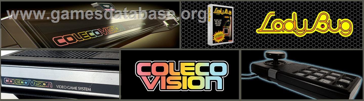 Lady Bug - Coleco Vision - Artwork - Marquee