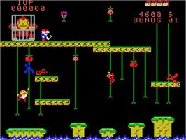 In game image of Donkey Kong Junior on the Coleco Vision.