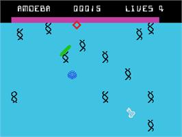 In game image of Evolution on the Coleco Vision.
