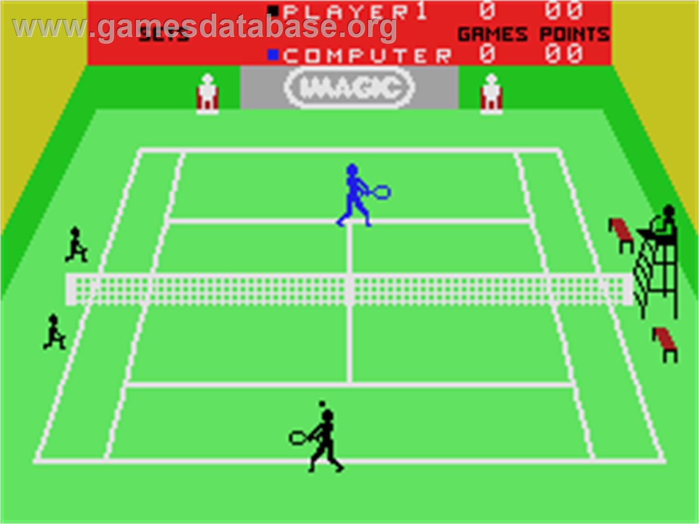 Tournament Tennis - Coleco Vision - Artwork - In Game