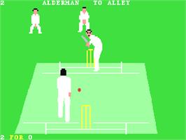 In game image of Allan Border's Cricket on the Commodore 64.