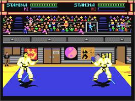 In game image of Budokan: The Martial Spirit on the Commodore 64.
