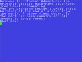 In game image of Colossal Adventure on the Commodore 64.
