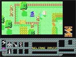In game image of Druid II: Enlightenment on the Commodore 64.