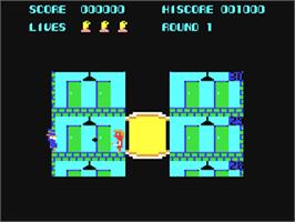 In game image of Elevator Action on the Commodore 64.