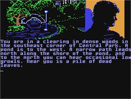 In game image of Fahrenheit 451 on the Commodore 64.