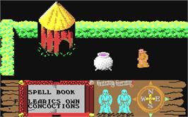 In game image of Feud on the Commodore 64.