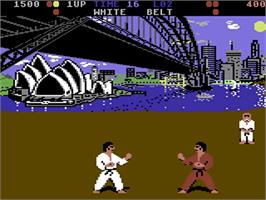 In game image of International Karate on the Commodore 64.
