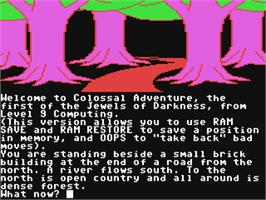In game image of Jewels of Darkness on the Commodore 64.