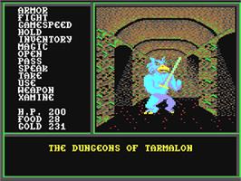 In game image of Legacy of the Ancients on the Commodore 64.