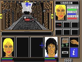 In game image of Lords of Doom on the Commodore 64.