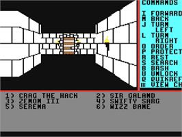In game image of Might and Magic: Book I on the Commodore 64.