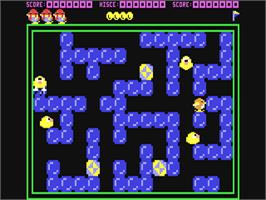 In game image of Pengo on the Commodore 64.