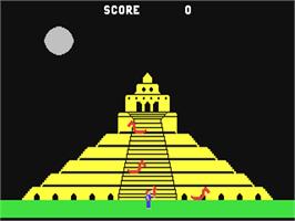 In game image of Quest for Quintana Roo on the Commodore 64.