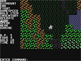 In game image of Questron on the Commodore 64.