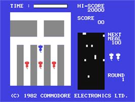In game image of Radar Rat Race on the Commodore 64.