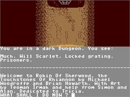 In game image of Robin of Sherwood: The Touchstones of Rhiannon on the Commodore 64.